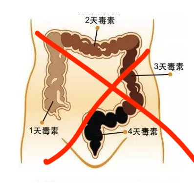 流言：排宿便等于排毒