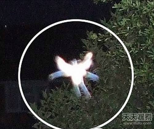 洛杉矶上空惊现UFO 外星人早已控制美国