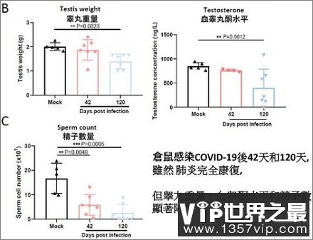 感染奥秘克戎蛋蛋会变小？