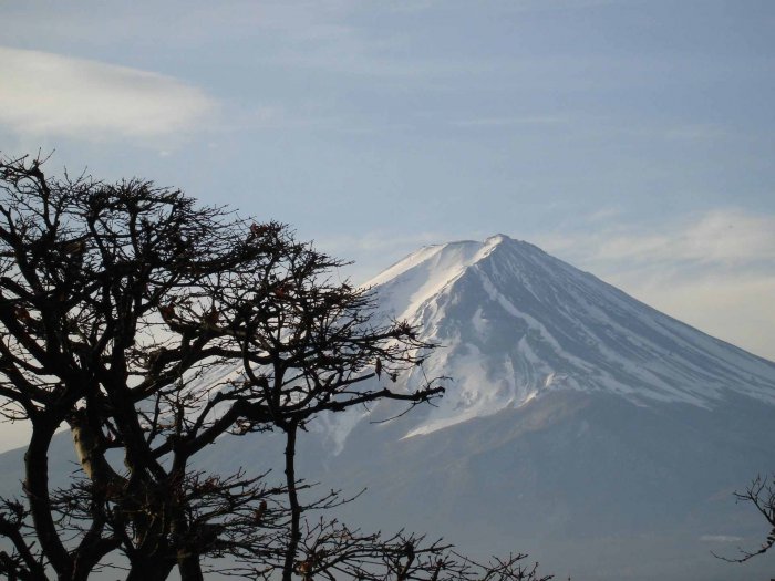 世界最大的岛屿