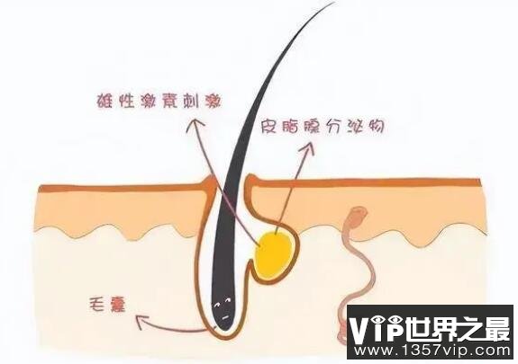 QQ截图20230117090824.jpg