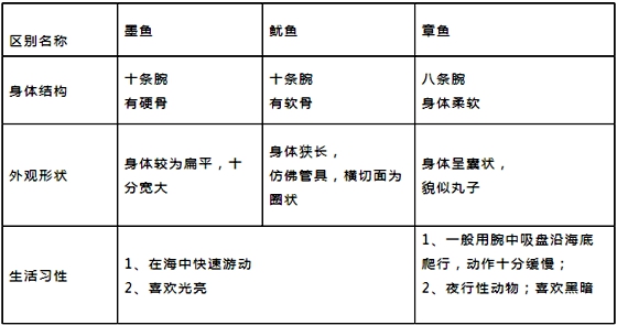 墨鱼、鱿鱼、章鱼的区别