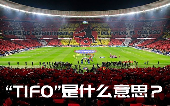 “TIFO”是什么意思？tifo怎么读？tifo为什么只用一次？