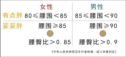 男女的正常腰围是多少