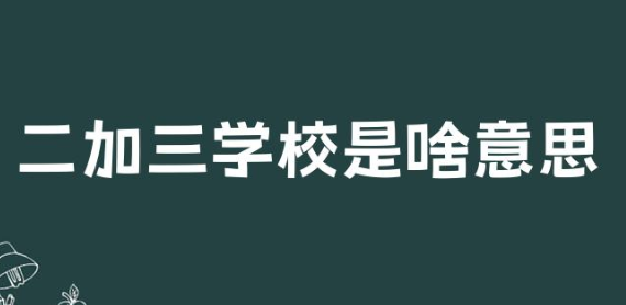 二加三学校是啥意思(二加三学校是什么意思)？