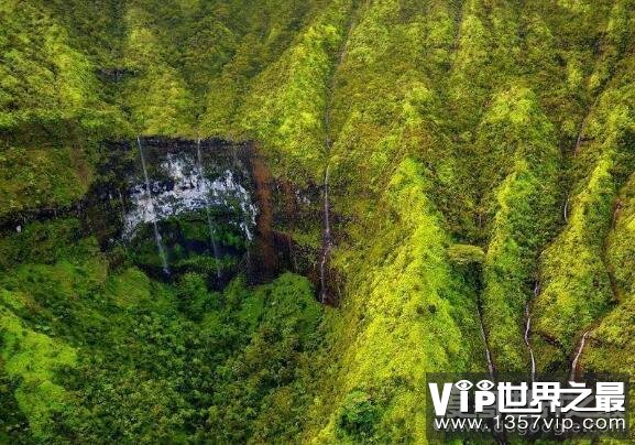 世界上雨量最多的地方，怀厄莱阿莱(平均每年有335天下雨)