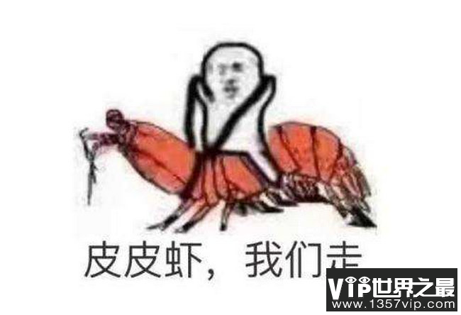 皮皮虾我们走是什么梗