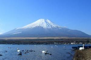 日本最大的岛屿，本州岛是日本最大岛屿(也是世界上第七大岛)