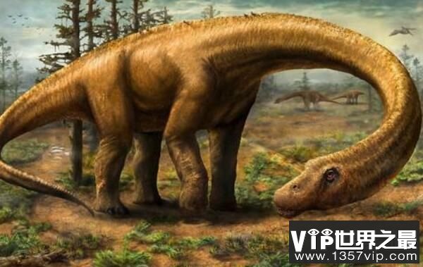 巴塔哥尼亚龙(Patagosaurus)：体长20米的阿根廷超巨型恐龙