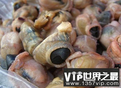 世界10大最恐怖食物，名字就令人毛骨悚然的“美食”