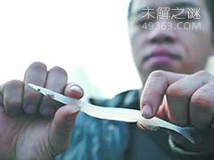 长江捞起一条全身透明的“银鱼”，银鱼怎么吃才是最好