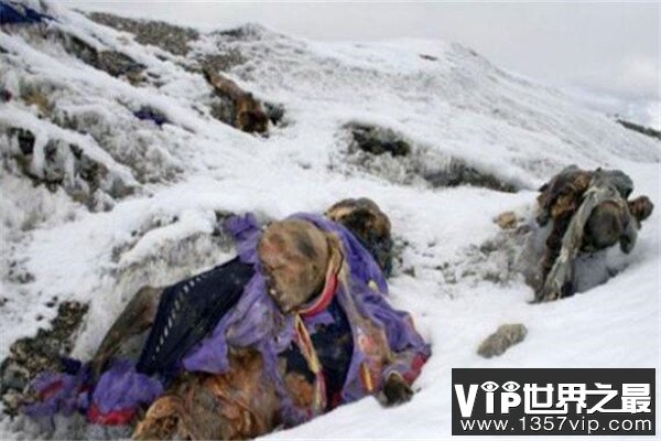 世界登山史上十大山难 第一造成四十人丧生，你都知道哪几件