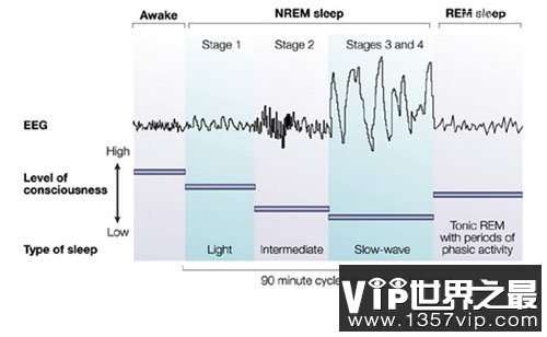 达芬奇睡眠法,是折磨还是开发人体潜能？