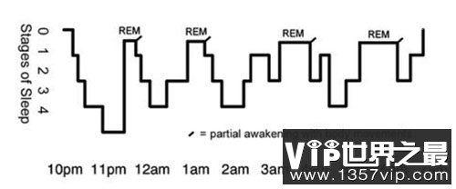 达芬奇睡眠法,是折磨还是开发人体潜能？