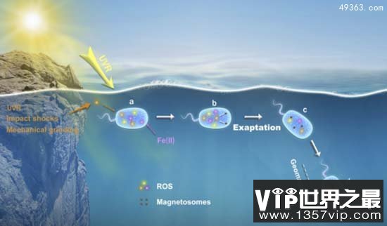 生命起源的7个线索 生物起源矿生新学说