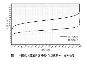 中国的丁丁