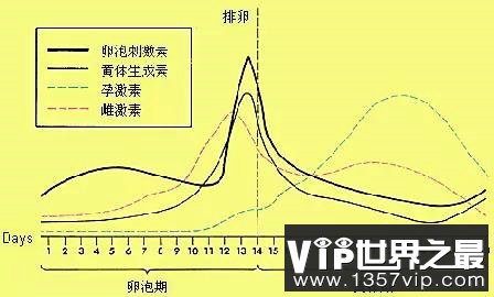 女生体内激素水平在各周期的变化