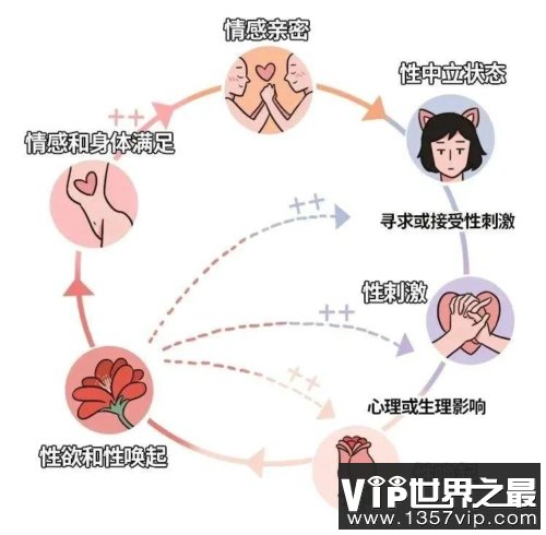 女性的性反应和男生不同