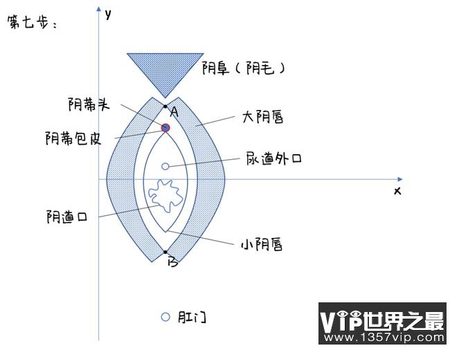 第七步