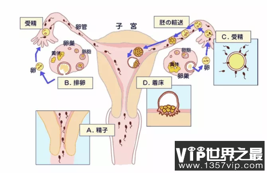 上环这件事，你了解多少？