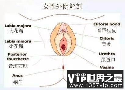 白带异常，下面味道不好闻怎么办