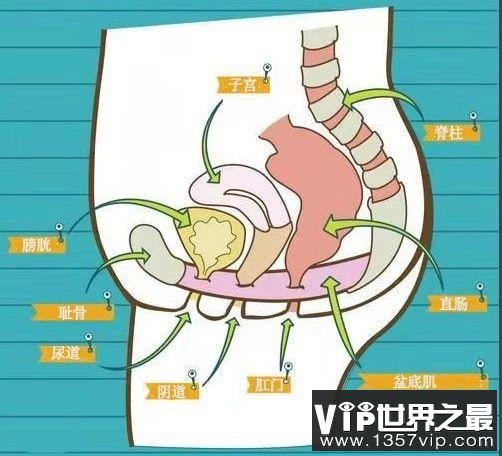 这5件事，会导致女生阴道松弛