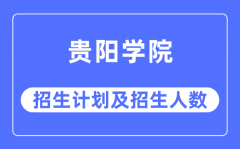 2023年贵阳学院各省招生计划及各专业招生人数是多少