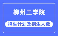 2023年柳州工学院各省招生计划及各专业招生人数