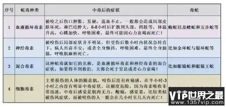 眼镜王蛇大战科莫多巨蜥，谁才是陆地最强有毒爬行动物？