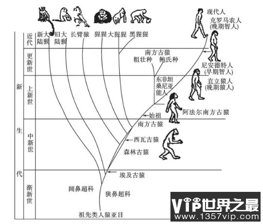 既然近亲不能结婚，那地球上最早出现的那2个人如何繁衍？