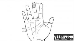看手相算命五大主线、掌丘图解