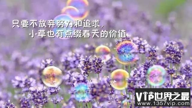 心灵鸡汤经典语录