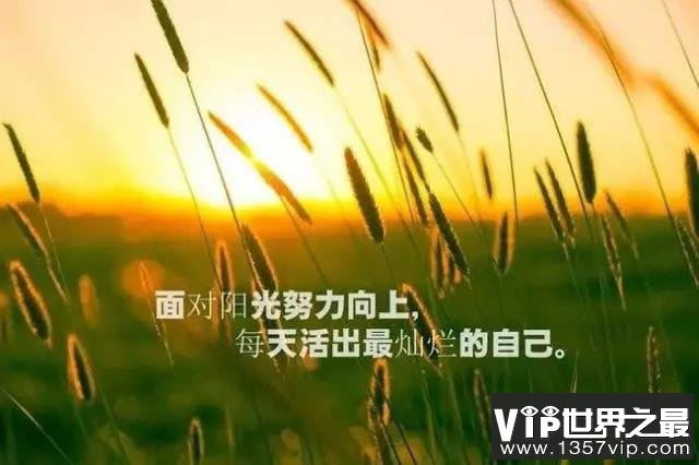 经典人生感悟