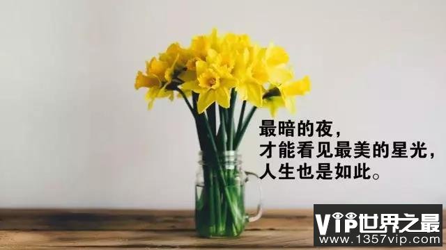 生活感悟的心灵鸡汤句子