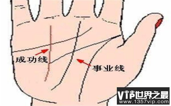 手相看命运  有这几种手相的人创业能成功  能赚万贯财