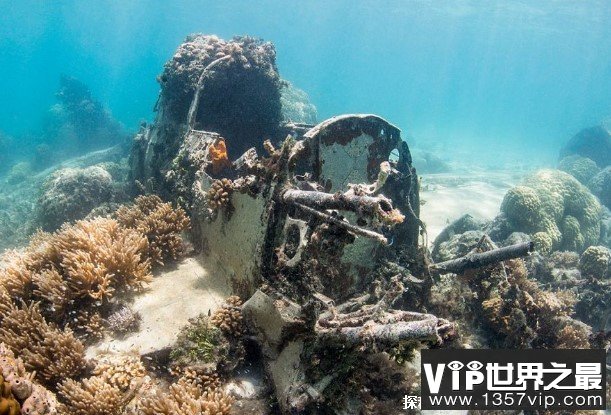 世界上最大水下坟场 特鲁克泻湖士兵遗骸多(比较恐怖)