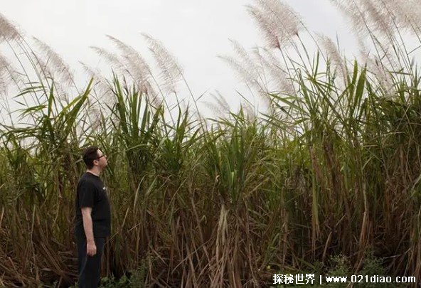 世界上最危险的村庄 奇迹村全村人都是罪犯(位于美国)