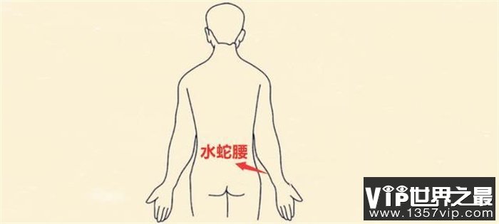 男怕水蛇腰