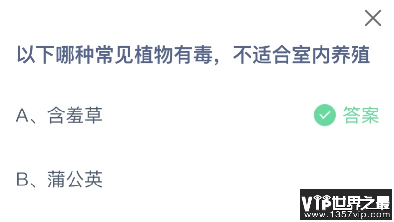 以下哪种常见植物有毒不适合室内养殖 蚂蚁庄园12月2日答案最新