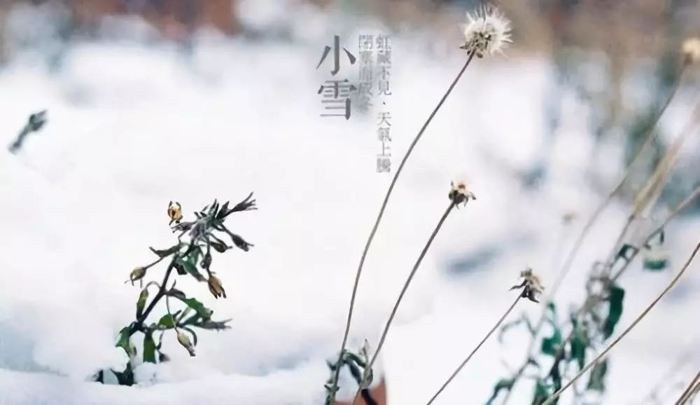 小寒节气祝福语