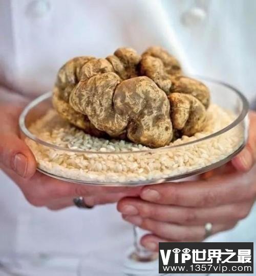 世界十大最昂贵的食材 蓝旗金枪鱼才第五